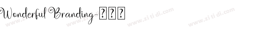 Wonderful Branding字体转换